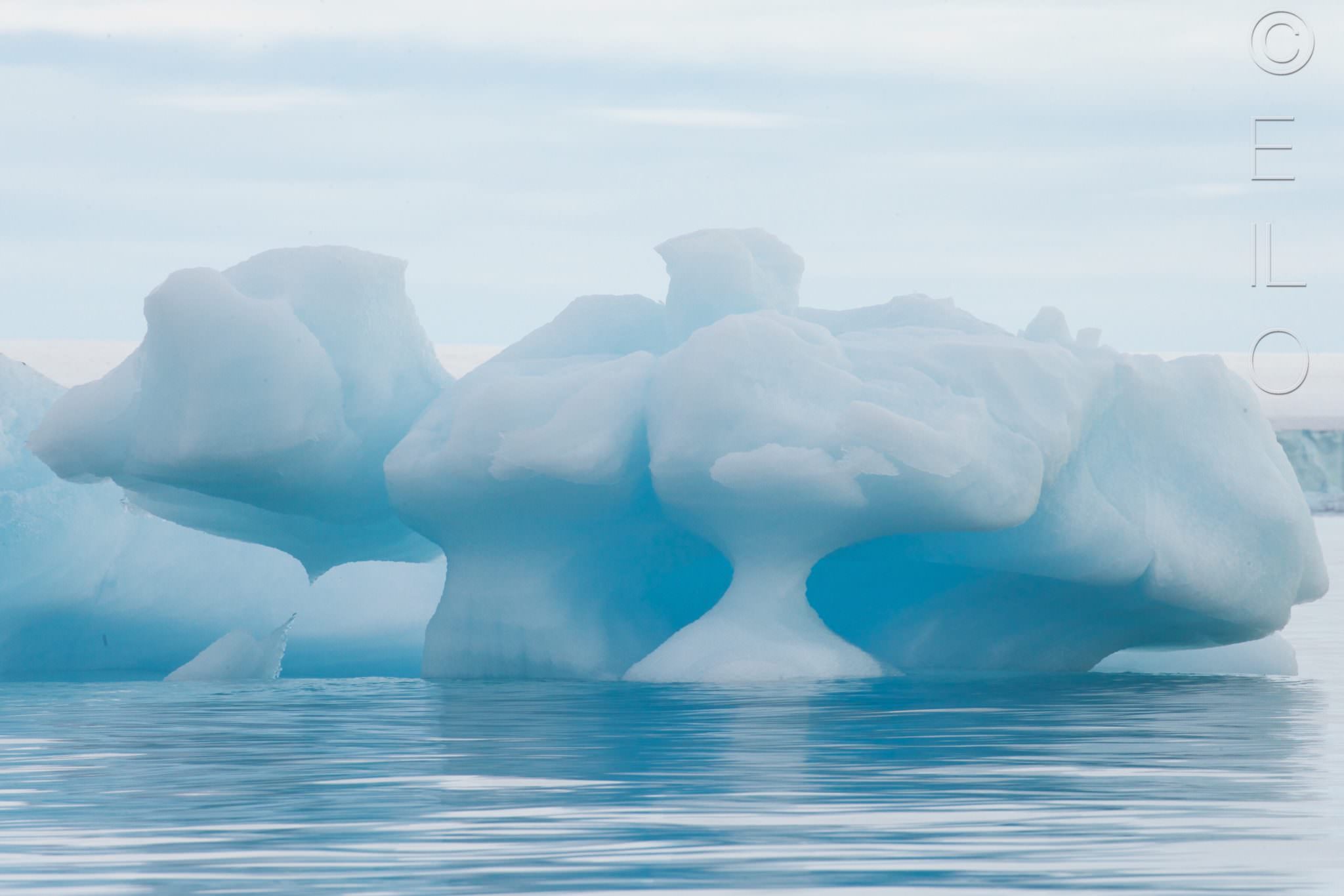 Fixed ice Svalbard August 2015